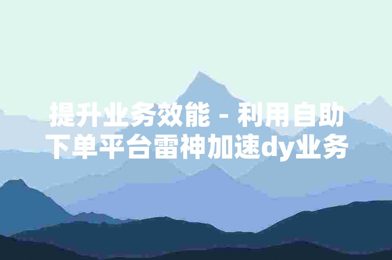 提升业务效能 - 利用自助下单平台雷神加速dy业务流程。