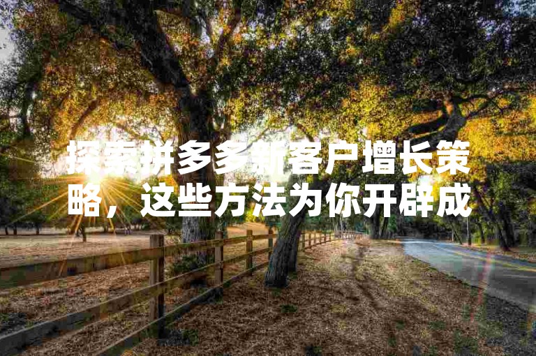 探索拼多多新客户增长策略，这些方法为你开辟成功之路。