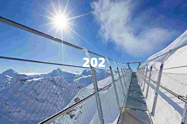 2025年，拼多多砍价助力团队诚邀您通过微信加入，共襄盛举。