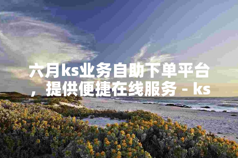 六月ks业务自助下单平台，提供便捷在线服务 - ks自助下单网站，享受优惠价格。