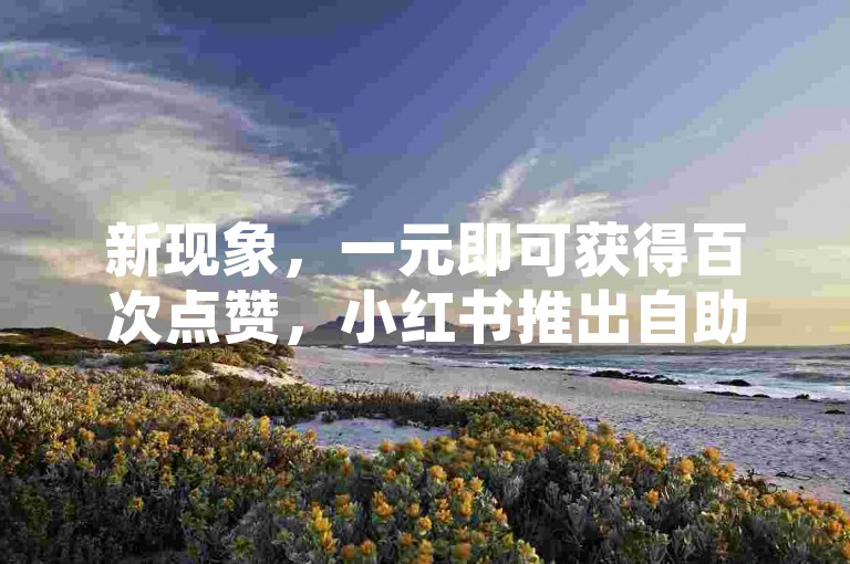 新现象，一元即可获得百次点赞，小红书推出自助式推广服务。