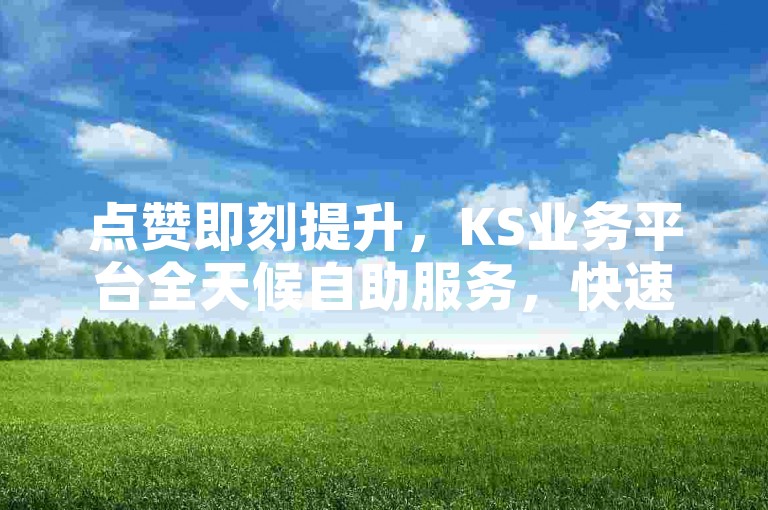 点赞即刻提升，KS业务平台全天候自助服务，快速响应您的每个需求。