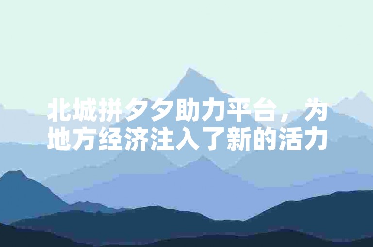 北城拼夕夕助力平台，为地方经济注入了新的活力。