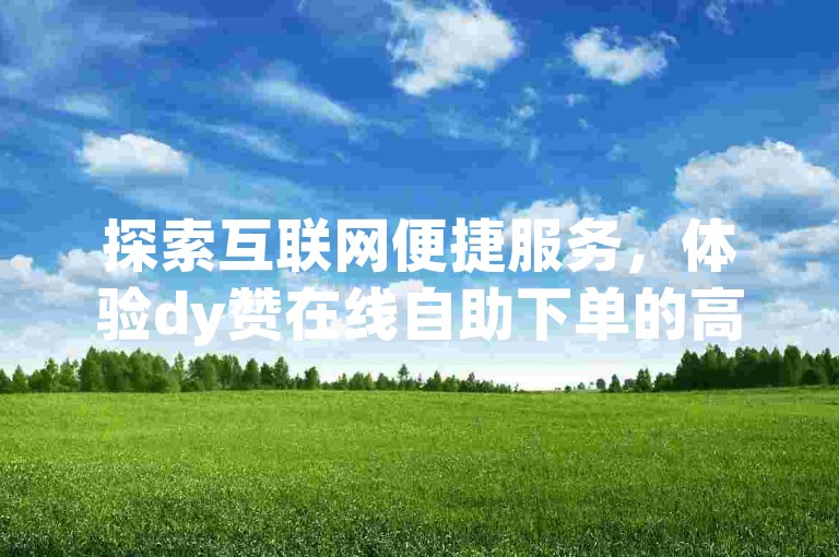 探索互联网便捷服务，体验dy赞在线自助下单的高效与便利。