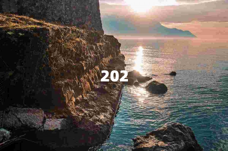 2025年，拼多多助力平台将开启互助互帮的新篇章，大家携手共进。