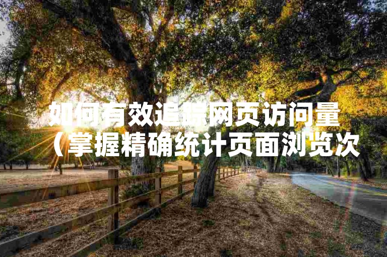 如何有效追踪网页访问量（掌握精确统计页面浏览次数的技巧！）