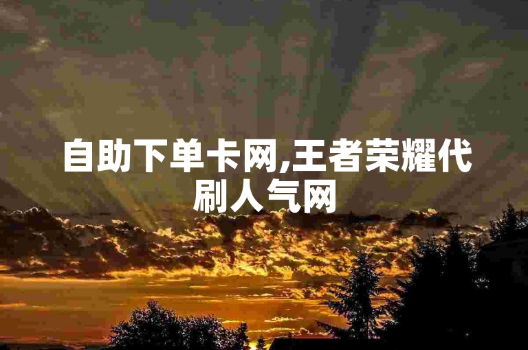 自助下单卡网,王者荣耀代刷人气网