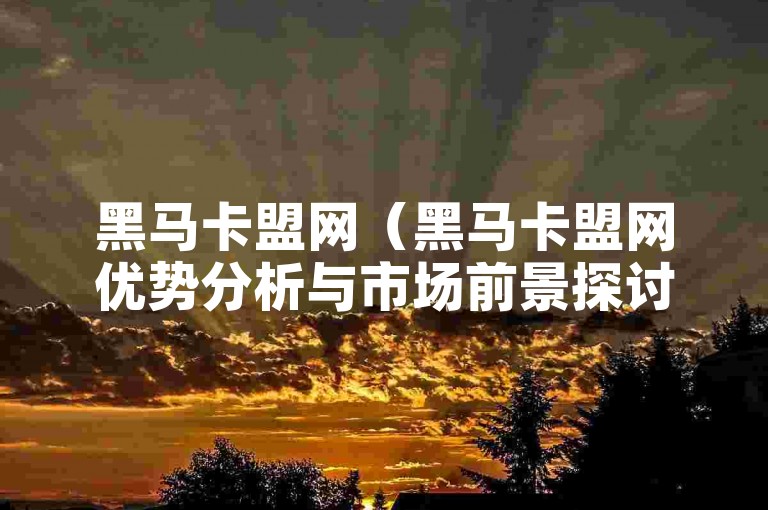 黑马卡盟网（黑马卡盟网优势分析与市场前景探讨）