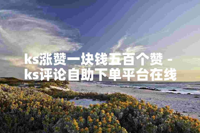 ks涨赞一块钱五百个赞 - ks评论自助下单平台在线